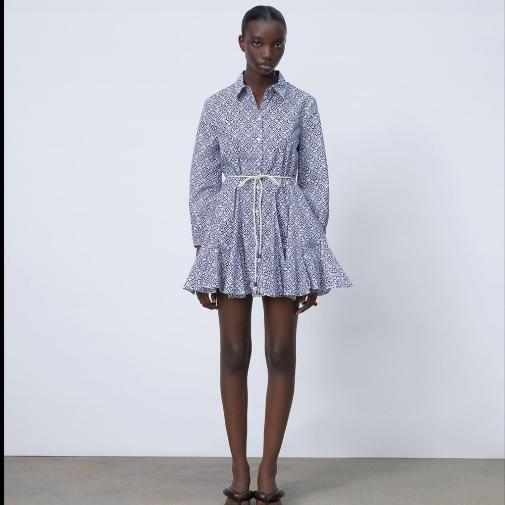 Zara Printed Mini Dress
